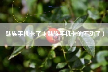 魅族手机卡了(魅族手机卡的不动了)