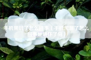 手机黑屏了怎么回事(手机黑屏了怎么回事是屏坏了马)