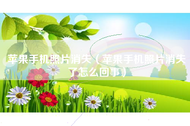 苹果手机照片消失(苹果手机照片消失了怎么回事)
