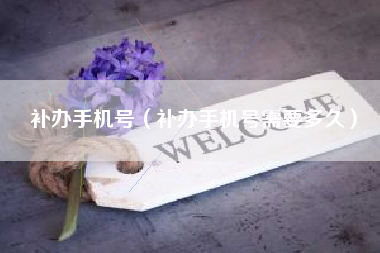 补办手机号(补办手机号需要多久)