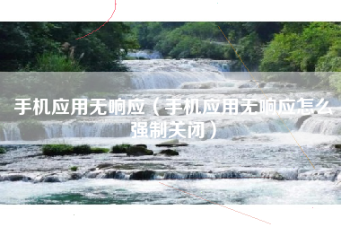 手机应用无响应(手机应用无响应怎么强制关闭)