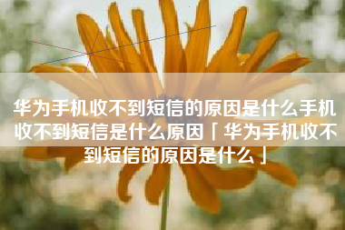 华为手机收不到短信的原因是什么手机收不到短信是什么原因「华为手机收不到短信的原因是什么」
